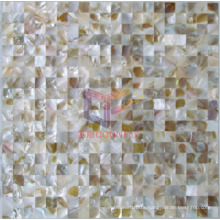 Natural Shell Mother of Pearl Mosaic (CFP120)